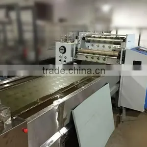 Professional Hydrographic Printing Equipment, Transfer Printing Productine Line NO. LYH-WTPM052-1A Manufacturer thumbnail-3