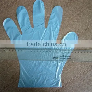 Disposable PE Glove, Plastic Glove, Household PE Glove thumbnail-5