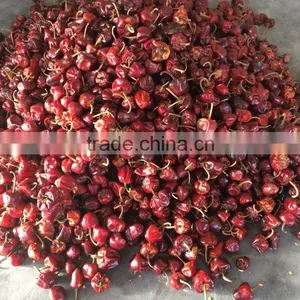 Round Red Chille Pepper thumbnail-2