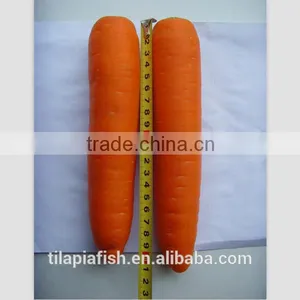 Carrot Face Cream, Fresh Carrot From Fujian thumbnail-1