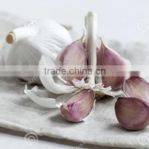2016 Fresh Natural White Garlic or Red Garlic thumbnail-1