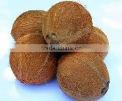 Tamilnadu Coconut thumbnail-1