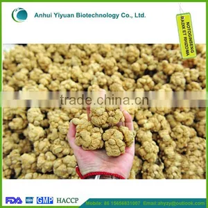 Useful Chinese Herb Medicine Radix Notoginseng thumbnail-1