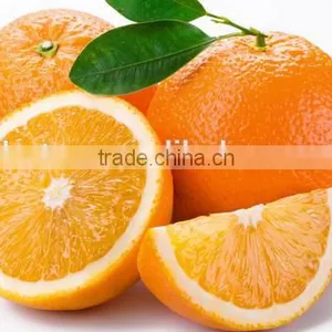 100% Natural Citrus Hesperidin thumbnail-3