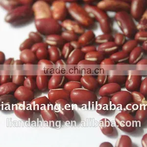 ADZUKI BEAN thumbnail-2