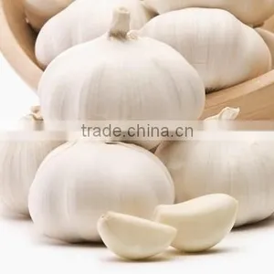 New Style Automatic Electric Normal Garlic Shallot Skin Removing Peeler Peeling Machine thumbnail-5