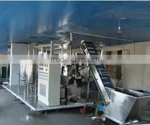 Fresh Fruit Juice Production Line thumbnail-1