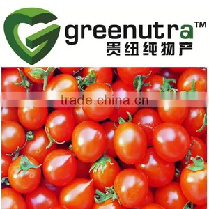 1%-98% Lycopene /Solanum Lycopersicum Extract thumbnail-1