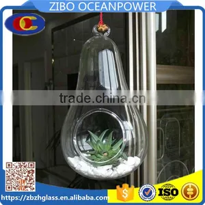 Wholesale Clear Pear Shape Glass Vase Landscape Bottle Hanging thumbnail-1