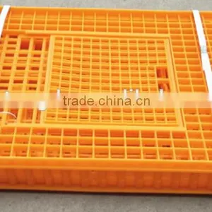 Plastic Chicken Poultry Transport Crate thumbnail-3