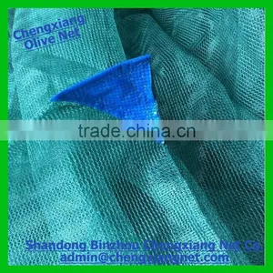 Factory Supply! High Quality Olive Net for Greece Italy Spain Market Olive Net thumbnail-1