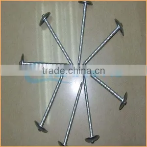 Top Quality Umbrella Head Screw Rod Roofing Nails Trusted Chuanghe Suppliers From Com thumbnail-1