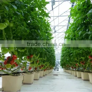 Dutch Bucket Hydroponics System Flowerpots thumbnail-1