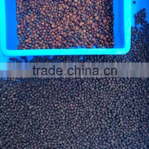 Mini CCD Peper Separating Machine Color Sorter Cereal Color Sorting Machine With LED thumbnail-5