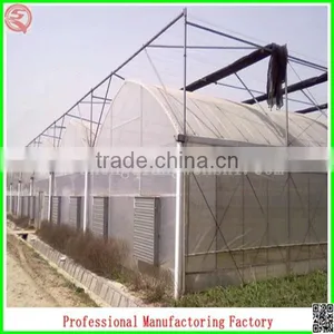 Hot Sale 12m Multi-span Agriculture Plastic Greenhouses for Vegetables thumbnail-2