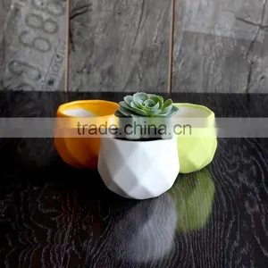 Indoors Desktop Decoration Polygon Bonsai Pot Wholesale for Succulent Planter thumbnail-3