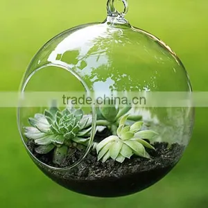 Transparent Bubble Round Shape Vase Flower Plant Water Container for Home Office thumbnail-1