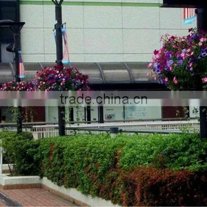 SOL 2015 Environment-friendly Factory Price Hanging Ball Planters thumbnail-6
