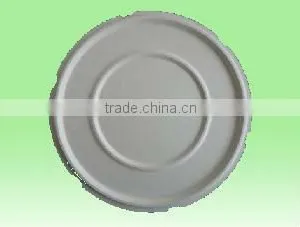 Sugar Cane Pulp Tray/biodegradable Tray thumbnail-1