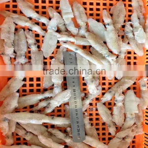 High Quality Whole Round Frozen Baby Squid for Sale thumbnail-6