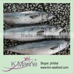 2014 New Caught Hot Sale Frozen Mackerel Fish Lot Number#kmw4054 thumbnail-1
