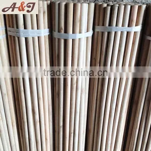 Big Dome Eucalyptus Rods Genetic Screw thumbnail-6