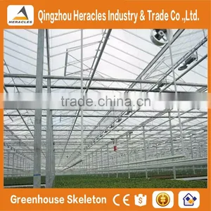 Heracles Gothic Glass Greenhouse for Strawberry thumbnail-1
