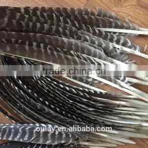 Full Size Colorful Treated Turkey Feathers Striped Feathers thumbnail-1