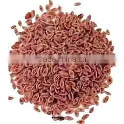 Psyllium Seeds thumbnail-1