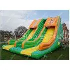 Rent Backyard Huge Inflatable Water Slides For Water Park / Games thumbnail-1