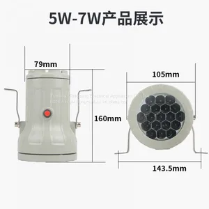 Explosion-proof Sight Hole Lamp Explosion-proof Mirror Lamp Mirror Lamp for Reaction Kettle LED 5W24v 220v12v36V BAK51 thumbnail-4