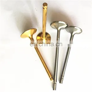 Manufacturer High Perfermance off Road Auto Parts For Lada Vaz Niva Kalina Priora 2121 21213 21214 21215 1700 i Engine Valves thumbnail-3