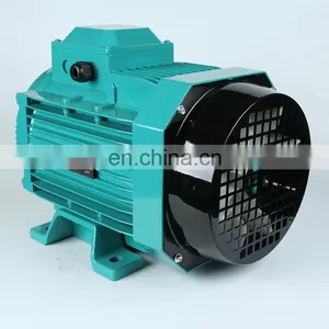 China Big Factory Good Price MS Aluminum Body Three Phase ac Motor thumbnail-3
