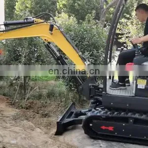 Chinese Cheap Crawler Mini Digger Excavator Engine Diesel for Sale thumbnail-1
