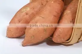 Frozen Sweet Purple Potato From Vietnam/ Purple Yam thumbnail-1