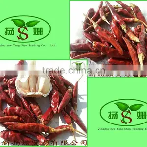 Fresh Small Chili/ Red Pepper,Cold Storage Dry Chili thumbnail-2