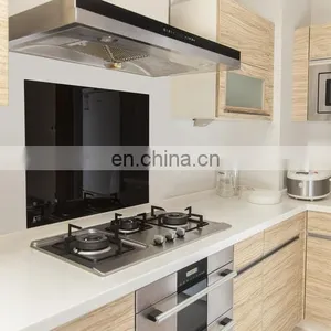 5mm 6mm Colorful Toughened Glass / Tempered Glass Wall Panels for Kitchen Splashback thumbnail-1