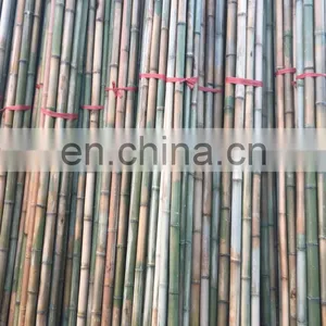 Wholesale High Quality Trend Production Cheapest Price Raw Bamboo Viet Nam Standard Size Open for Indoor/ Outdoor Furniture thumbnail-4