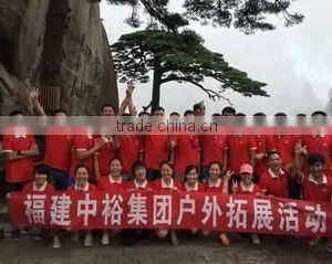 Fujian Zhongyu Group Co., Ltd. company overview - view 2 thumbnail