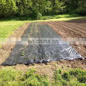 Wholesale Weed Matweed Mat Ground Cover Anti Grass Mat thumbnail-4