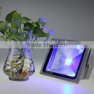Long Lifespan Rgb Flood Light thumbnail-6