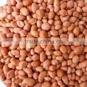 Blanched Peanut thumbnail-4