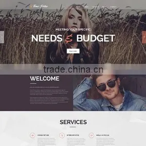 Website Design & Development thumbnail-4