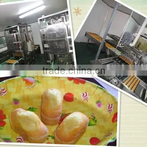High Quality & Hot Sale Cake Product Line thumbnail-1
