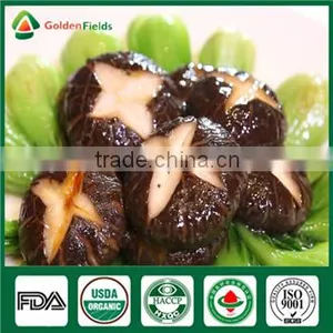 Edibal Mushroom Cultivation China Supplier Organic Fresh and Dried Shiitake Mushroom thumbnail-1