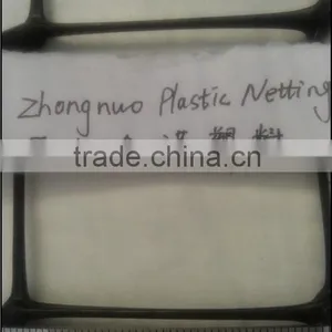Diamond Plastic Extruded Net thumbnail-5