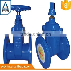 TKFM Water Pipe Used Gate Valve With Flanged Connection Supplier's Choice thumbnail-4