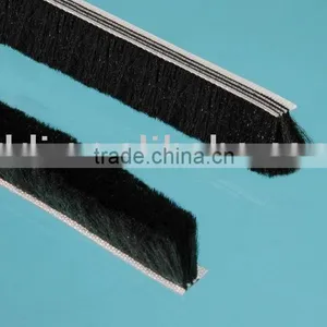 Weatherstrip thumbnail-1