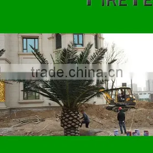 Artificial Canary Date Palm Tree thumbnail-1