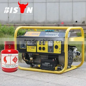 BISON(CHINA) Factory Pirce Hot Sale Type Biogas Generator For Sale Quality Choice thumbnail-1